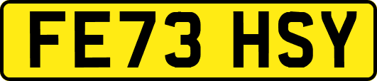 FE73HSY