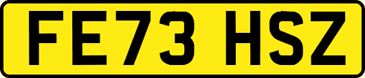 FE73HSZ