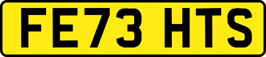 FE73HTS
