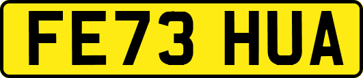 FE73HUA
