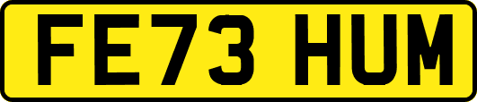 FE73HUM