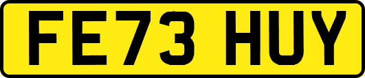FE73HUY