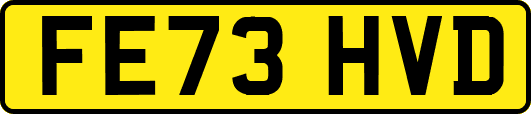 FE73HVD