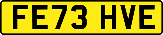 FE73HVE
