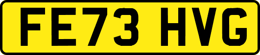 FE73HVG