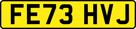 FE73HVJ