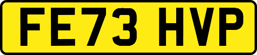 FE73HVP