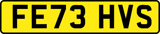 FE73HVS