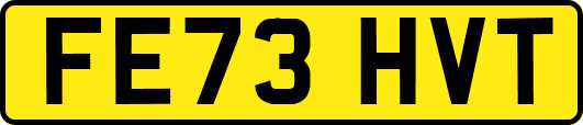 FE73HVT