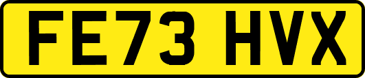FE73HVX
