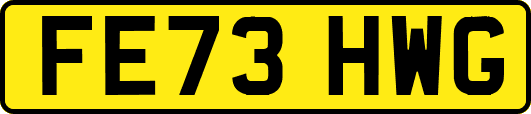 FE73HWG