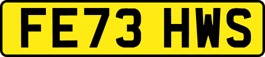 FE73HWS