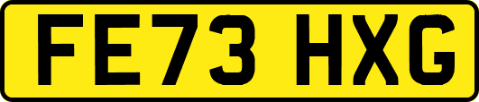 FE73HXG