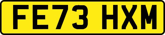 FE73HXM