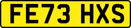 FE73HXS