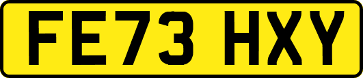 FE73HXY