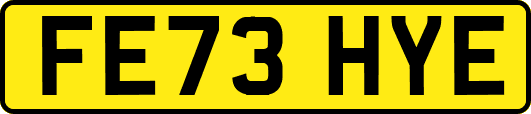 FE73HYE