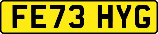 FE73HYG