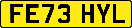 FE73HYL