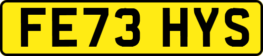 FE73HYS