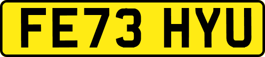FE73HYU