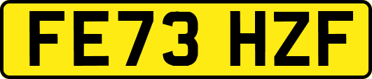 FE73HZF