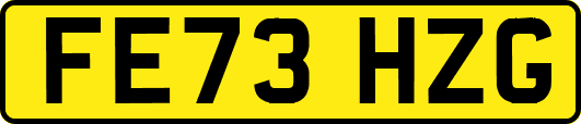 FE73HZG