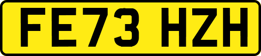 FE73HZH