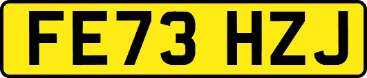 FE73HZJ