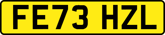 FE73HZL