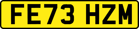 FE73HZM