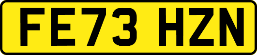 FE73HZN