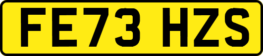 FE73HZS
