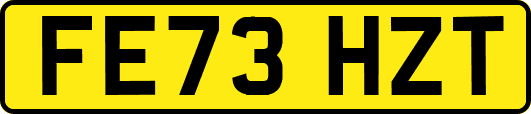 FE73HZT