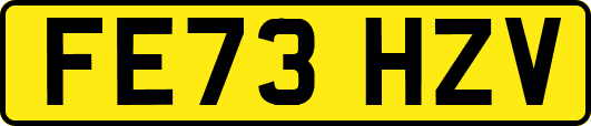 FE73HZV