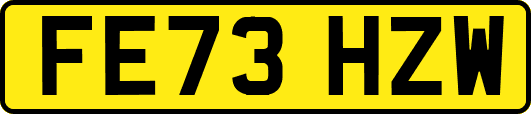 FE73HZW