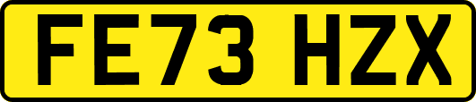 FE73HZX