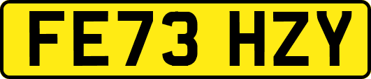 FE73HZY
