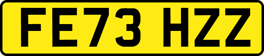 FE73HZZ