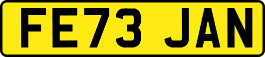 FE73JAN