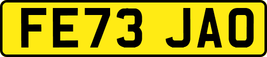 FE73JAO