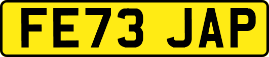 FE73JAP