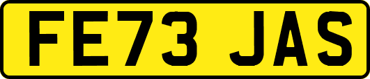 FE73JAS