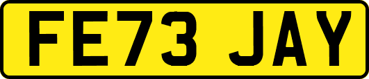 FE73JAY