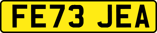 FE73JEA