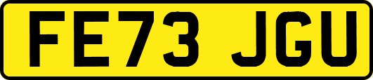 FE73JGU