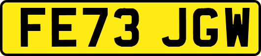 FE73JGW