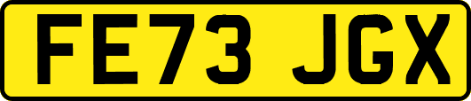 FE73JGX