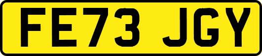 FE73JGY