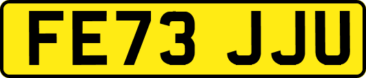 FE73JJU